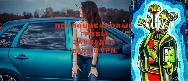 а пвп мука Дмитриев