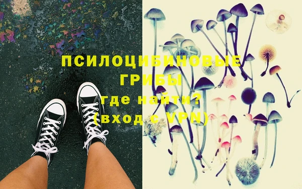 а пвп мука Дмитриев