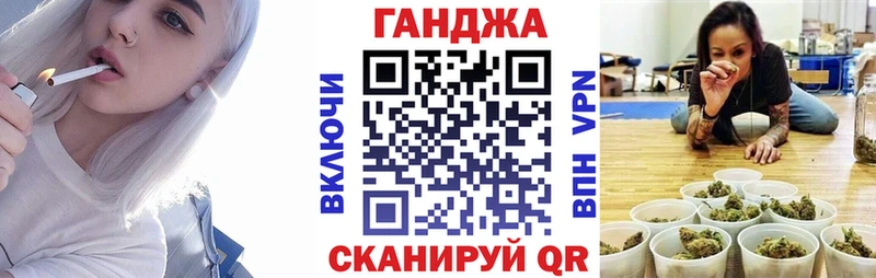 закладки  Кызыл  Конопля гибрид 